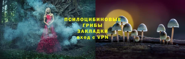 тгк Алексин