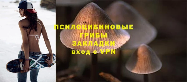 круглые Алзамай