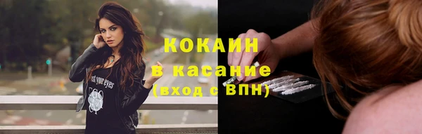 тгк Алексин