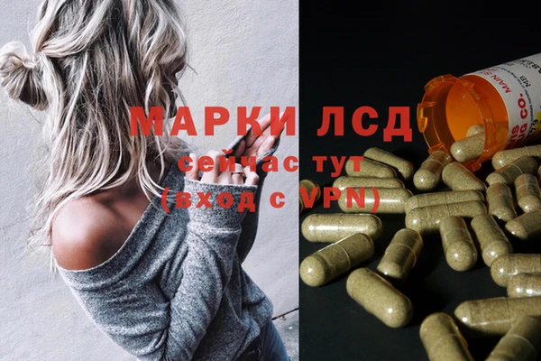 дмт Арсеньев