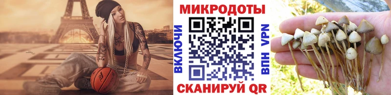 блэк спрут ССЫЛКА  Новоалександровск  Псилоцибиновые грибы GOLDEN TEACHER 