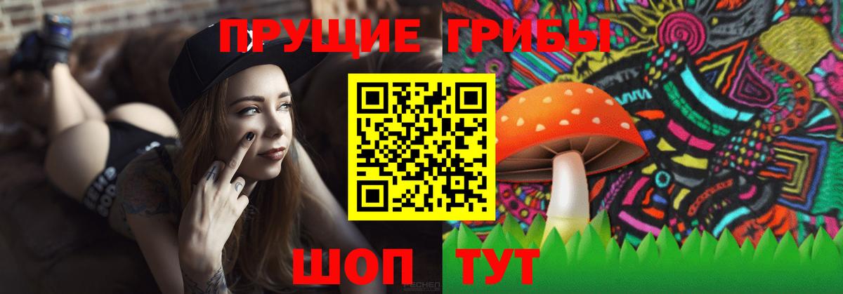 Псилоцибиновые грибы MAGIC MUSHROOMS Новоалександровск