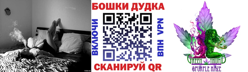 Шишки марихуана сатива  Новоалександровск 
